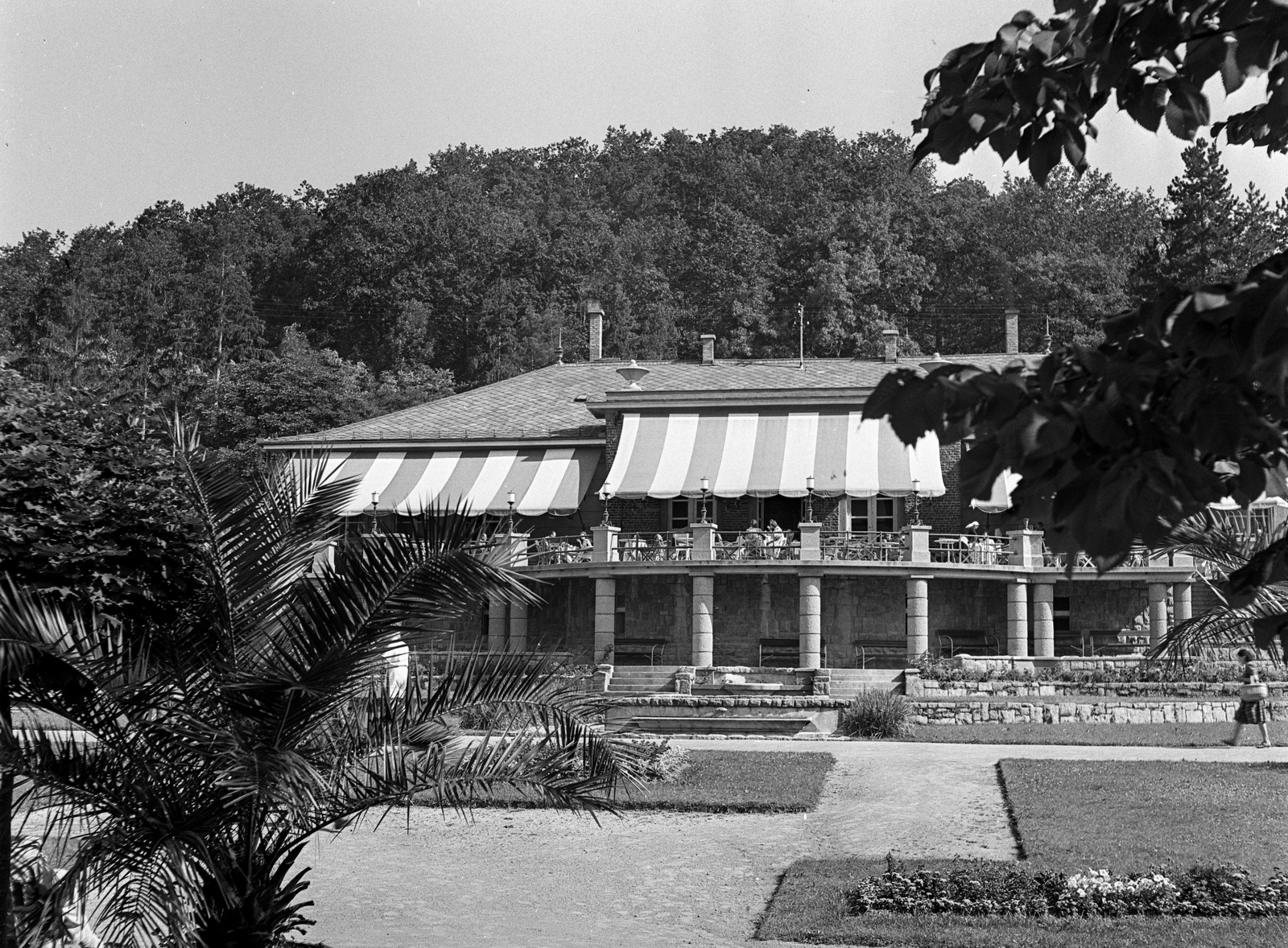 Magyarország, Parádfürdő, Parád, Gyógyüdülő, ma Parádfürdői Állami Kórház., 1943, Lissák Tivadar, gyógyintézmény, pálmafa, napellenző, Fortepan #72241