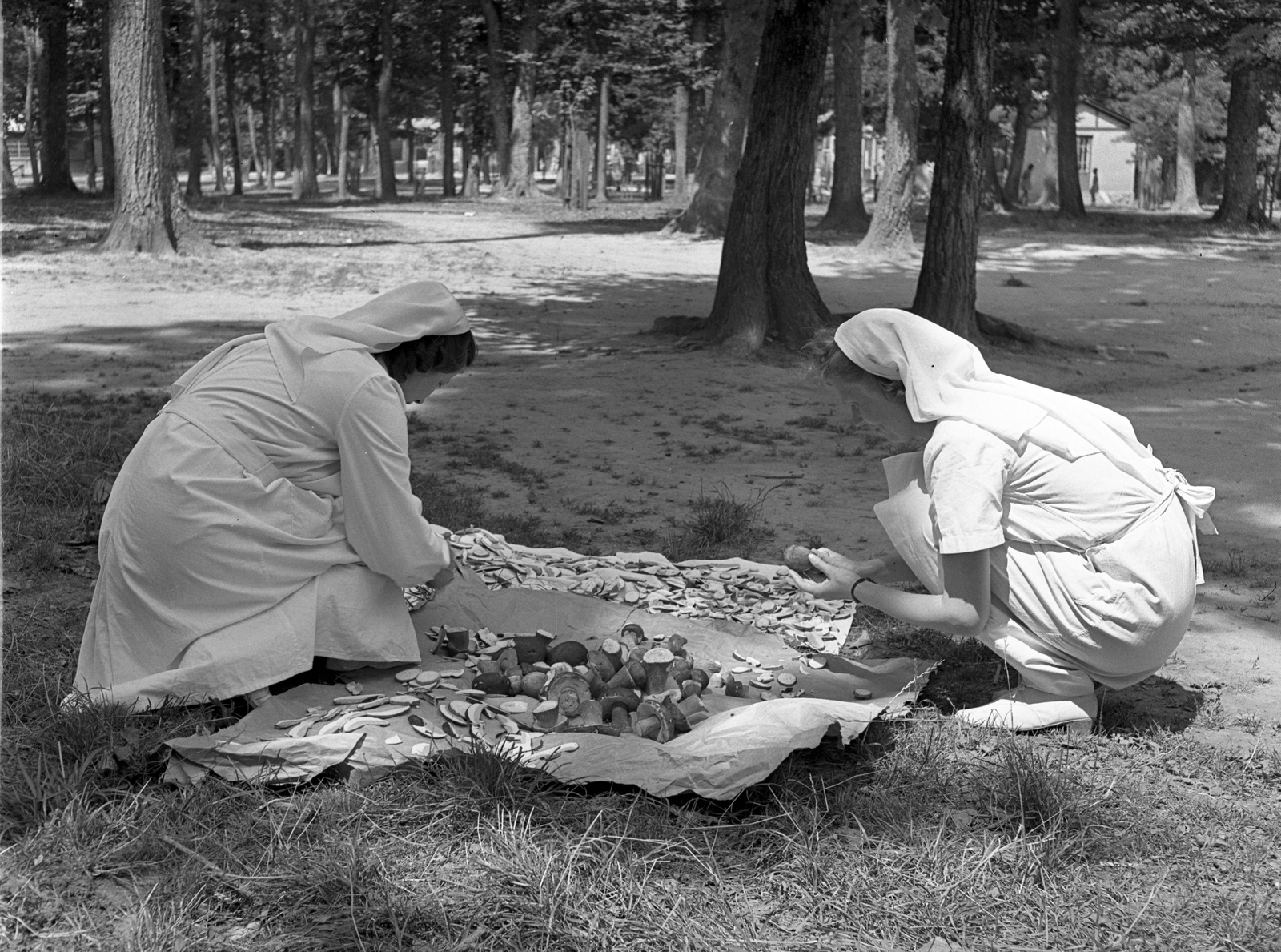 Hungary, Farkasgyepű, Frigyes főherceg üdülőtelep és erdei iskola (később a Veszprém Megyei Tüdőgyógyintézet szanatóriuma)., 1943, Lissák Tivadar, nurse, mushroom, forest school, Fortepan #72360