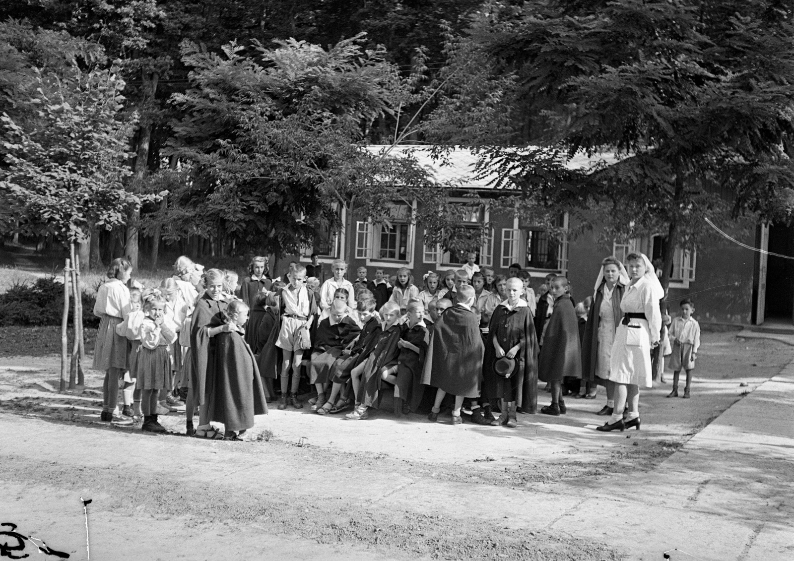 Hungary, Farkasgyepű, Frigyes főherceg üdülőtelep és erdei iskola (később a Veszprém Megyei Tüdőgyógyintézet szanatóriuma)., 1943, Lissák Tivadar, tableau, nurse, forest school, Fortepan #72377