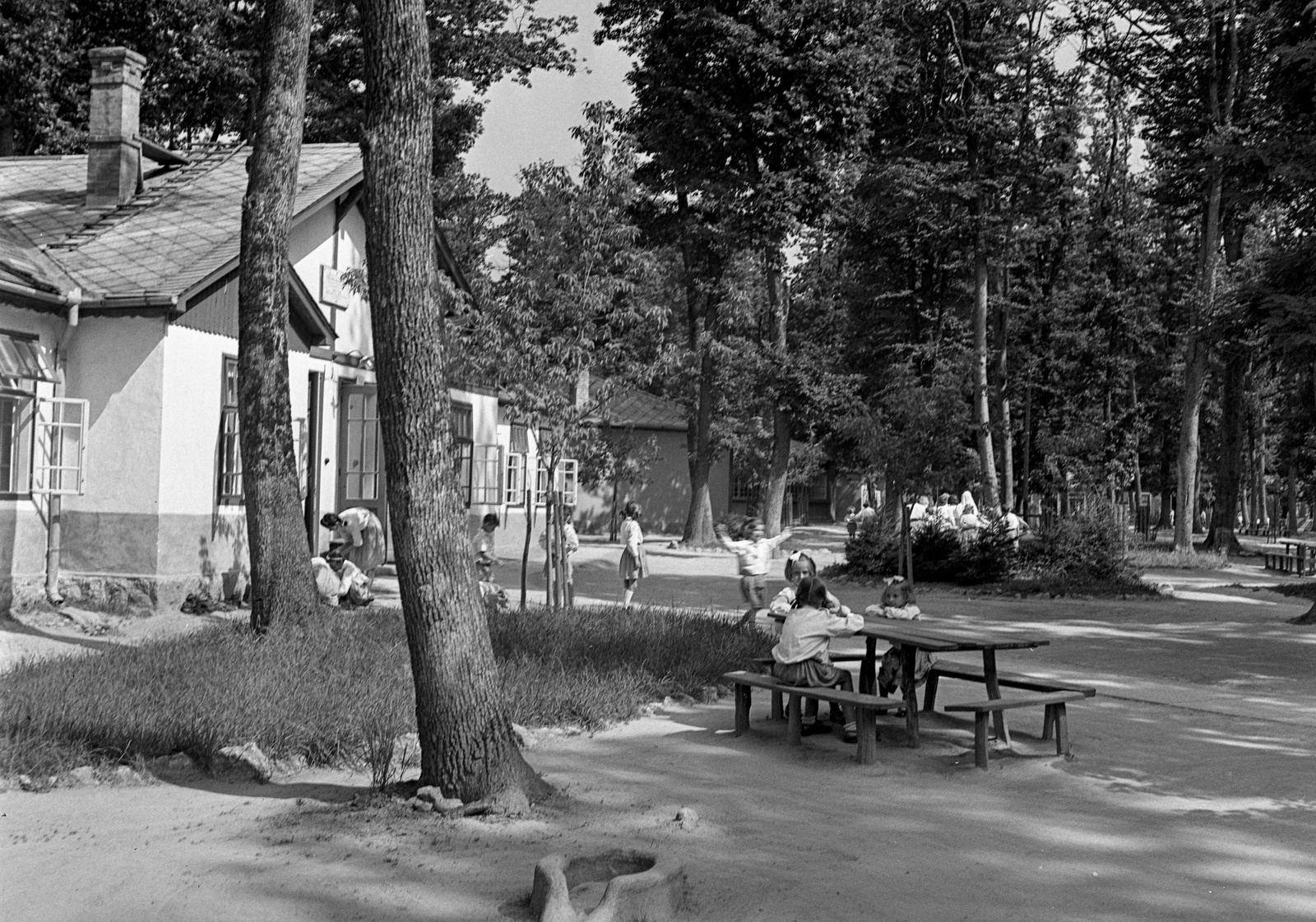 Hungary, Farkasgyepű, Frigyes főherceg üdülőtelep és erdei iskola (később a Veszprém Megyei Tüdőgyógyintézet szanatóriuma)., 1943, Lissák Tivadar, bench, forest school, Fortepan #72380