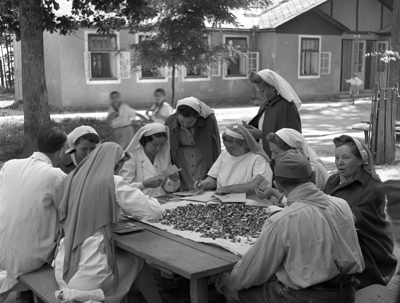 Hungary, Farkasgyepű, Frigyes főherceg üdülőtelep és erdei iskola (később a Veszprém Megyei Tüdőgyógyintézet szanatóriuma)., 1943, Lissák Tivadar, nurse, forest school, Fortepan #72393