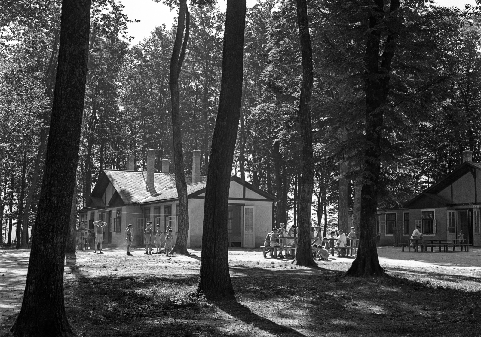 Hungary, Farkasgyepű, Frigyes főherceg üdülőtelep és erdei iskola (később a Veszprém Megyei Tüdőgyógyintézet szanatóriuma)., 1943, Lissák Tivadar, forest school, Fortepan #72394