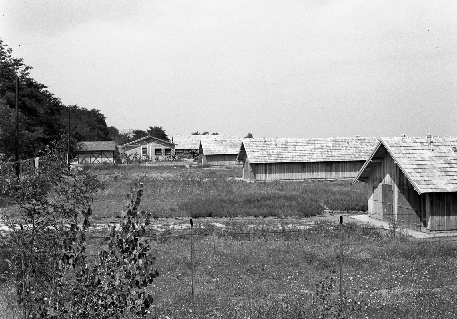 1943, Lissák Tivadar, military, warehouse, Fortepan #72439