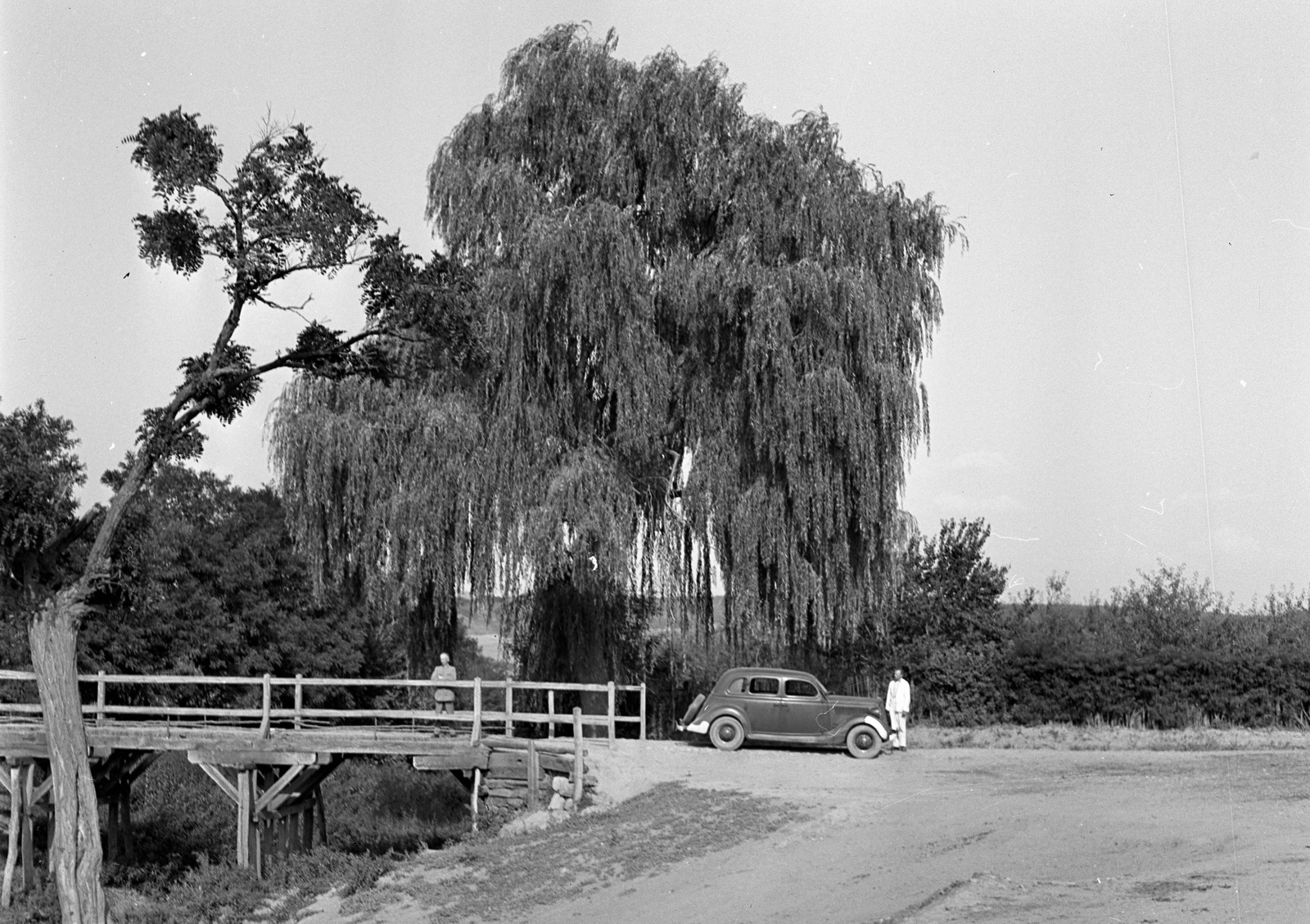 Hungary, Ford V8 Modell 48, 1935-ös kiadású személygépkocsi., 1943, Lissák Tivadar, american brand, Ford-brand, wooden bridge, automobile, willows, Fortepan #72466