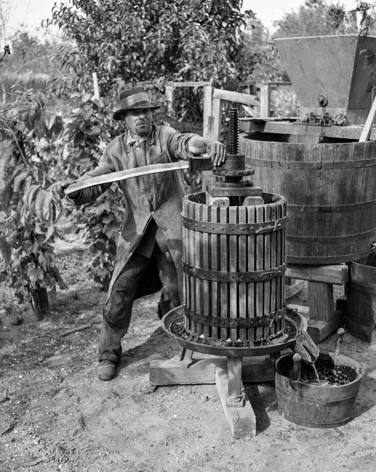 1943, Lissák Tivadar, harvest, grinder, bathtub, wine press, Fortepan #72538