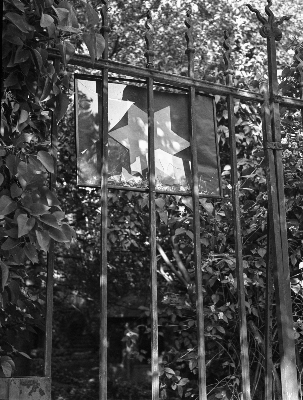 Hungary, Budapest XII., Ignotus (Klára) utca 33., 1944, Lissák Tivadar, holocaust, judaism, Budapest, Jewish ghetto house, fascism, yellow star, Fortepan #72786
