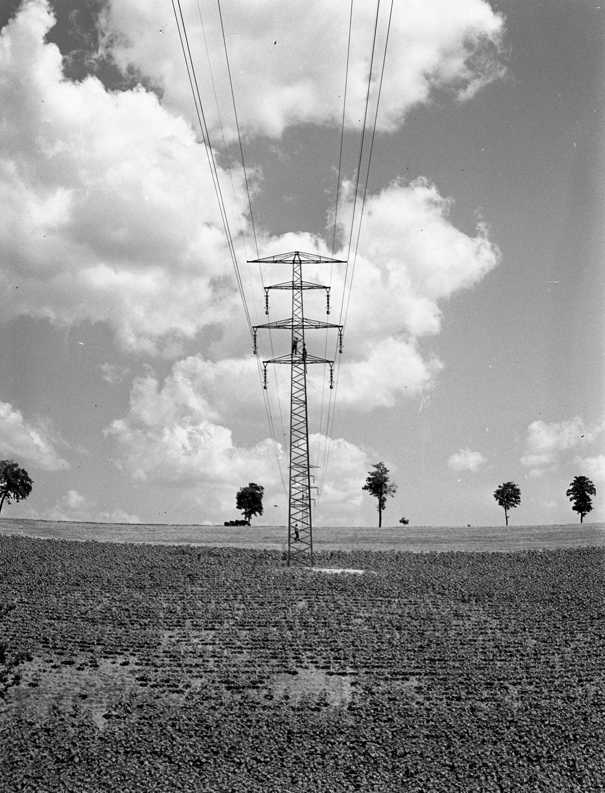 Hungary, 1944, Lissák Tivadar, power line, Fortepan #72791