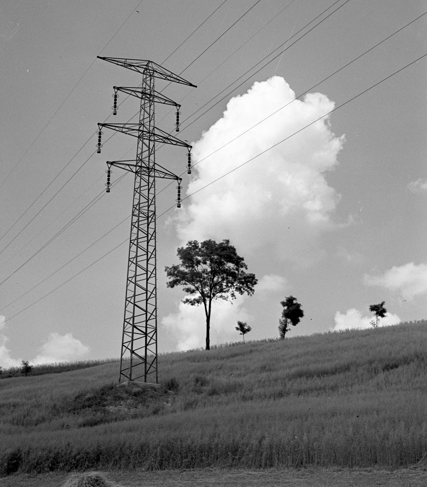Hungary, 1944, Lissák Tivadar, power line, Fortepan #72802