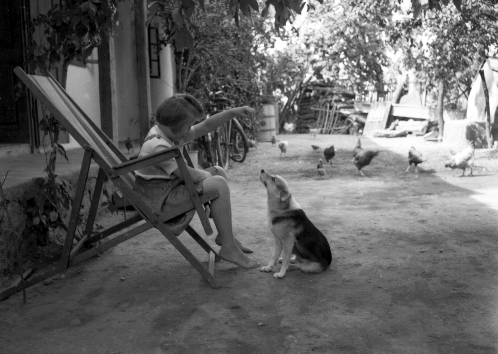 1947, Lissák Tivadar, portrait, bicycle, dog, yard, poultry, summer, girl, deck chair, porch, kid, animal trainer, Fortepan #73052