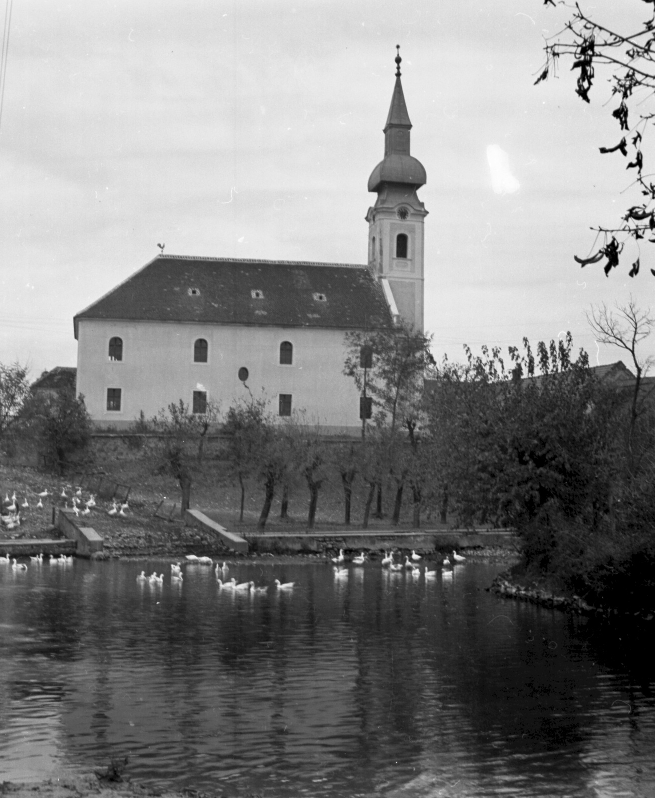 Hungary, Pápa, Tapolcafő (ekkor önálló, ma a város része), református templom., 1947, Lissák Tivadar, church, lake, duck, Fortepan #73073