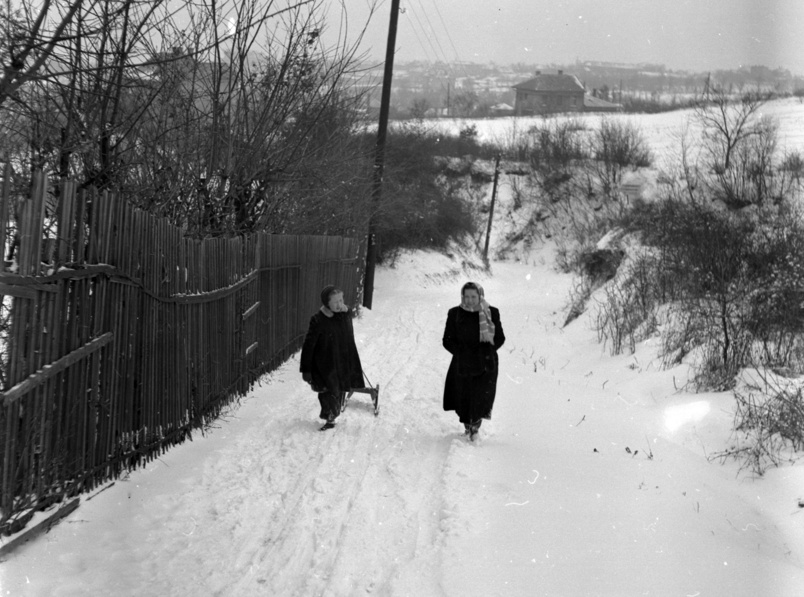1948, Lissák Tivadar, winter, snow, sledge, lath fence, Fortepan #73079