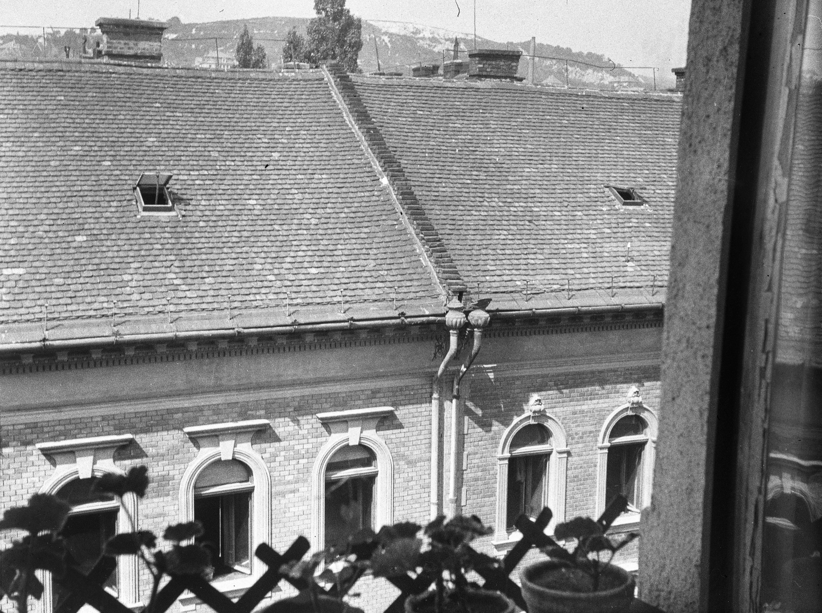 Magyarország, Budapest XII., kilátás a Hajnóczy József utca 1-ből a Kis-Sváb-hegy felé., 1934, Lissák Tivadar, háztető, muskátli, Budapest, Fortepan #73106
