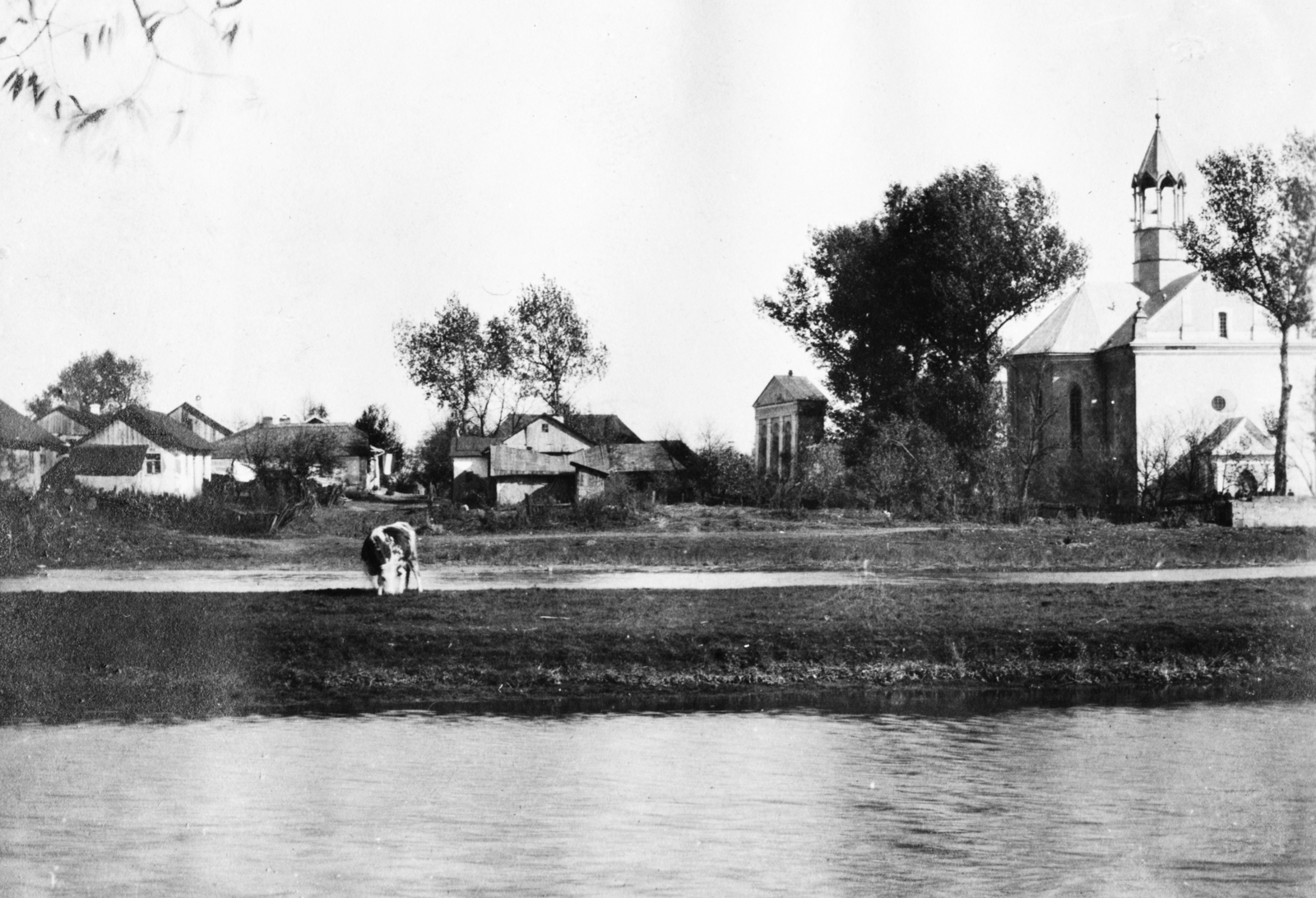 Templom:, 1917, Babarczy Eszter, church, cattle, shore, farmhouse, Fortepan #73390