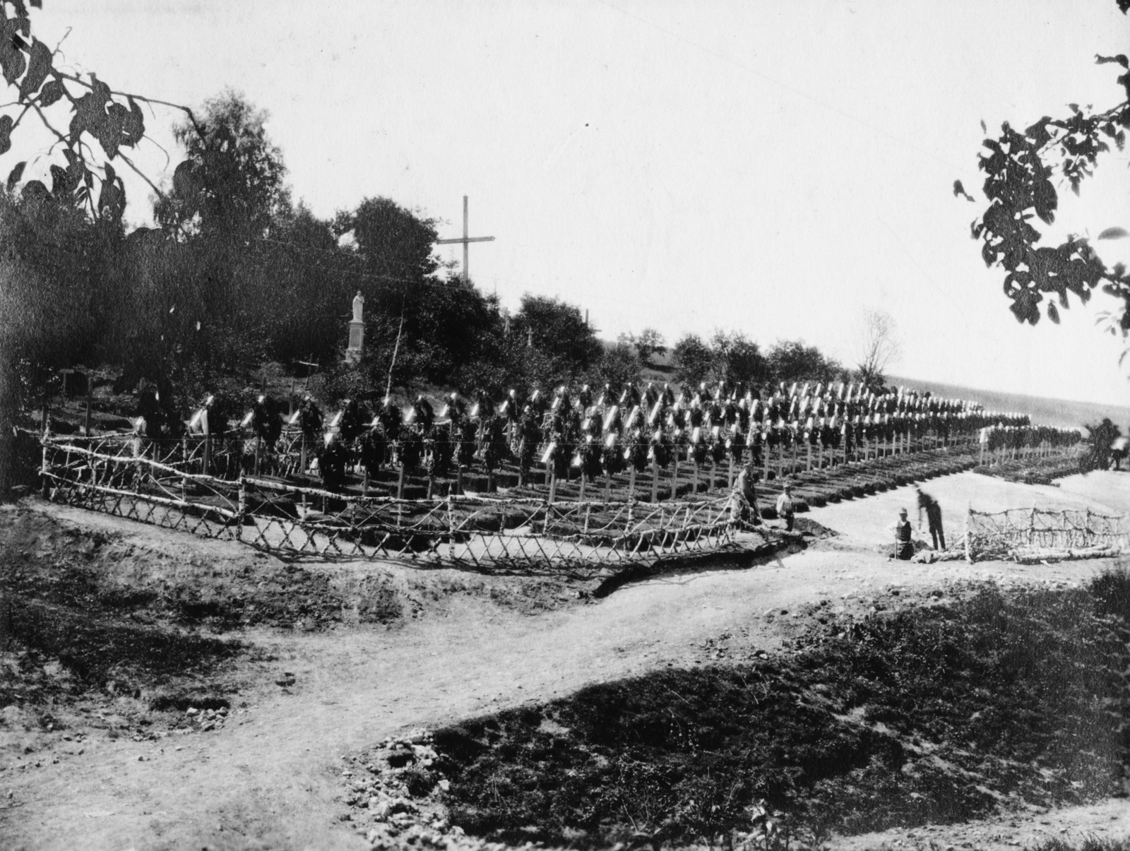 Ukraine, Kokutkivci, (ekkor Kokutkowce), a 23. gyalogezred hősi temetője., 1915, Babarczy Eszter, First World War, monument, cemetery, grave, cross, war grave, Fortepan #73392