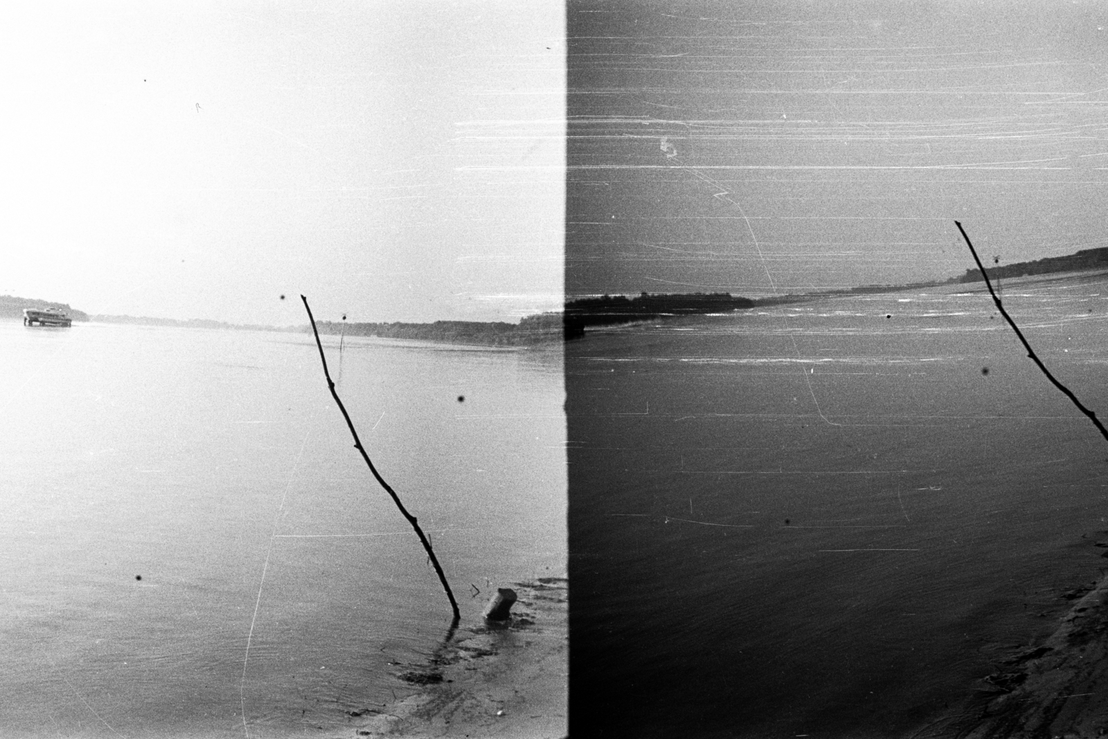 Hungary, Duna., 1960, Márton Gábor, ship, river, water surface, shore, hydrofoil, Fortepan #73634