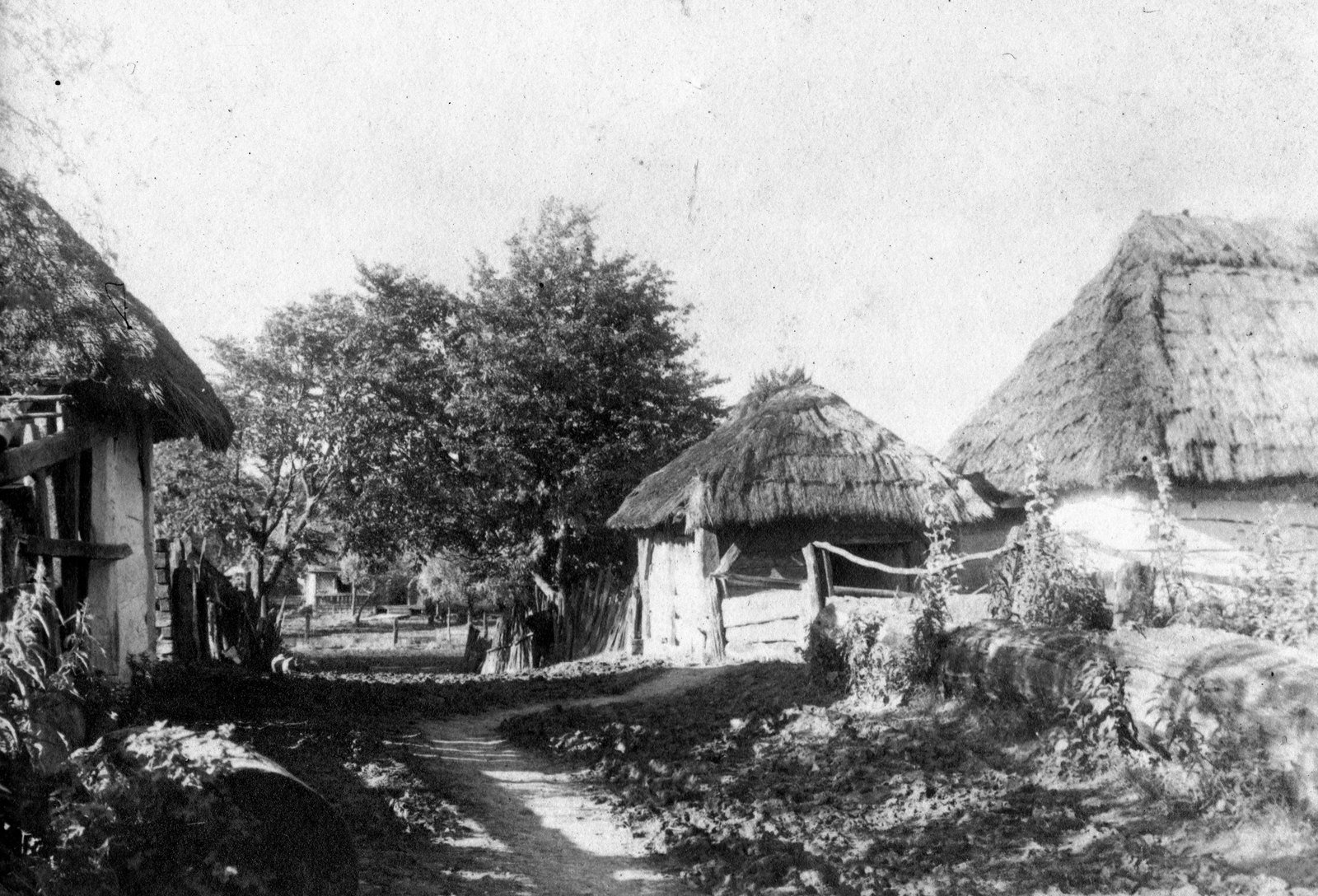 1916, Fortepan, thatched roof, farmhouse, Fortepan #73671