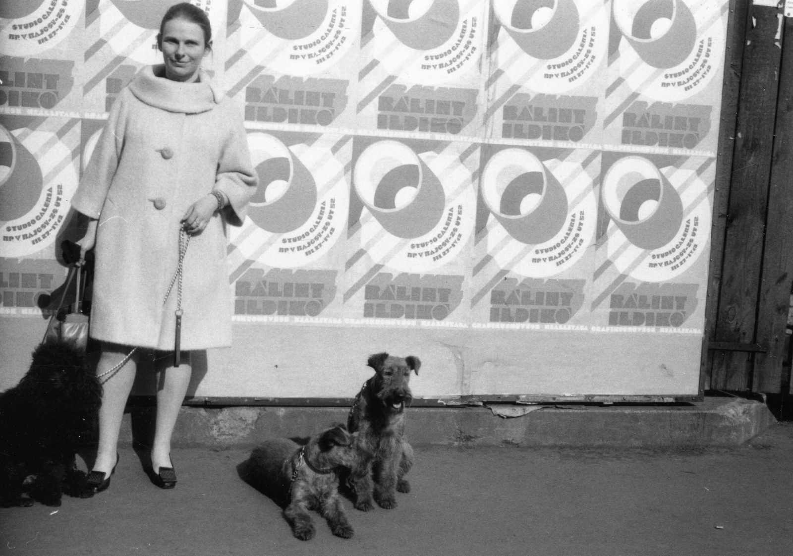 Hungary, Budapest, Bálint Ildikó grafikusművész., 1974, Pálfi Balázs, portrait, dog, poster, lady, coat, leash, walking the dog, Fortepan #73931