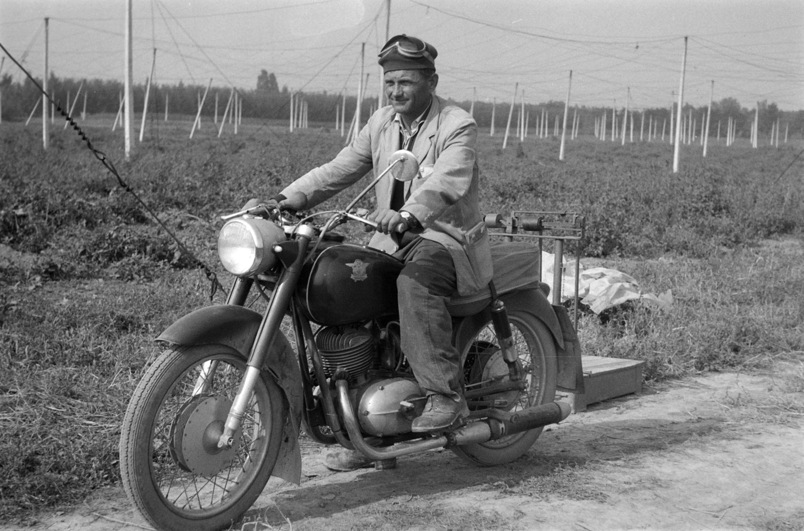 Hungary, Kimle, Horvátkimle (ekkor önálló), Csepel Pannonia TLT típusú motorkerekpár a komlóültetvény mellett., 1962, Mohl József, motorcycle, Hungarian brand, Csepel-brand, agriculture, beret, hop, Fortepan #74086