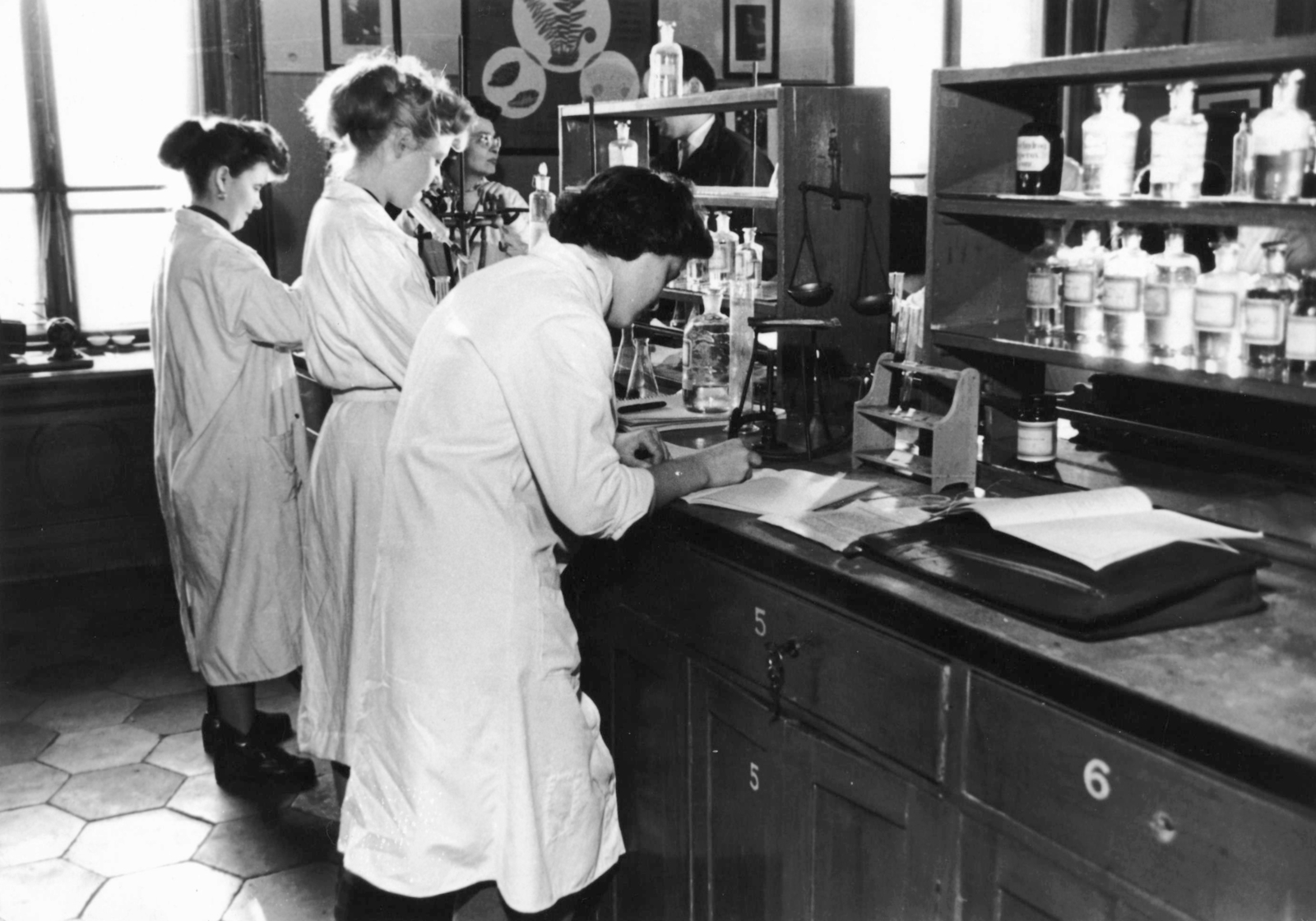 1960, Semmelweis Egyetem Levéltára, laboratory, work, counter, Fortepan #74179
