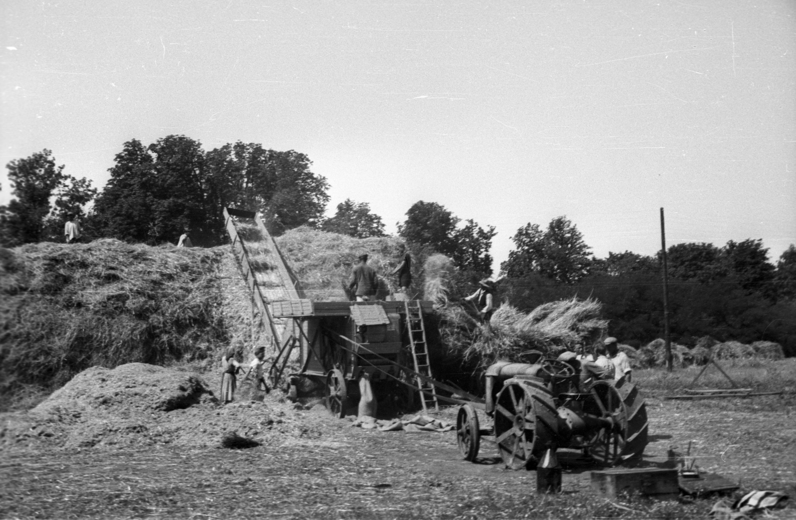 1940, Rosta László, tractor, Fortepan #74267