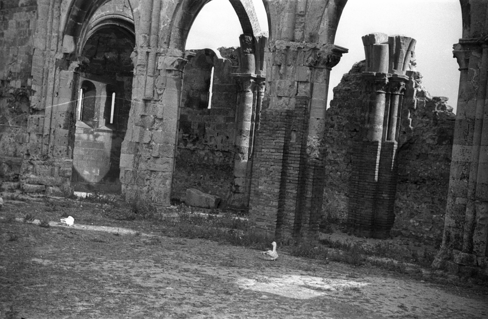 Magyarország, Zsámbék, a premontrei templom romjai., 1940, Rosta László, templom, rom, katolikus, román stílus, Premontrei rend, Fortepan #74269