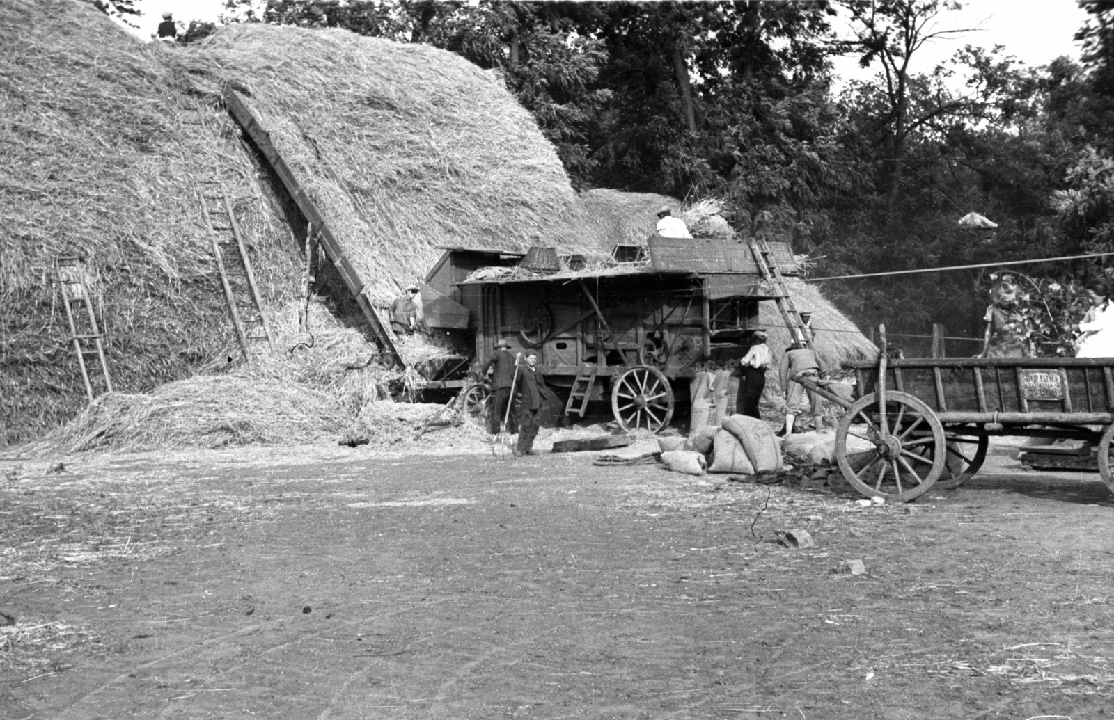 1940, Rosta László, chariot, ladder, threshing machine, sack, stack, threshing, belt drive, Fortepan #74285