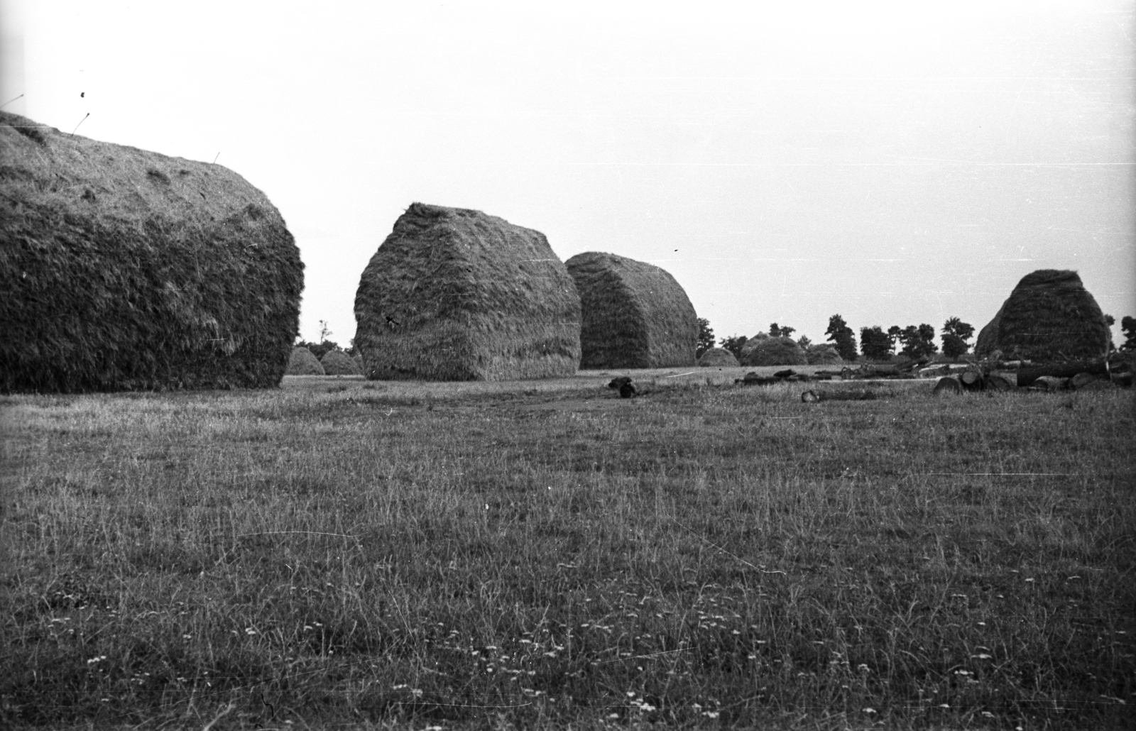 1940, Rosta László, agriculture, stack, Fortepan #74290