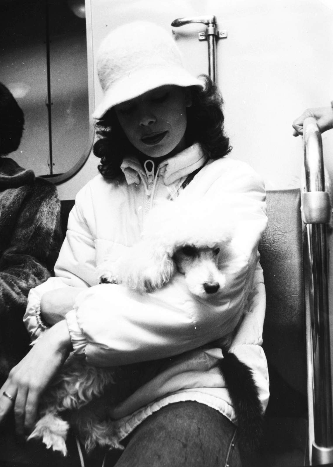 Hungary, Budapest, utazás a metrón., 1982, Semmelweis Egyetem Levéltára, dog, Fortepan #74537