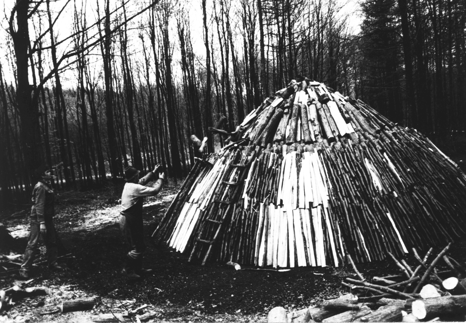 Hungary, szénégető / faszén készítő telep., 1982, Semmelweis Egyetem Levéltára, coal burning, Fortepan #74540