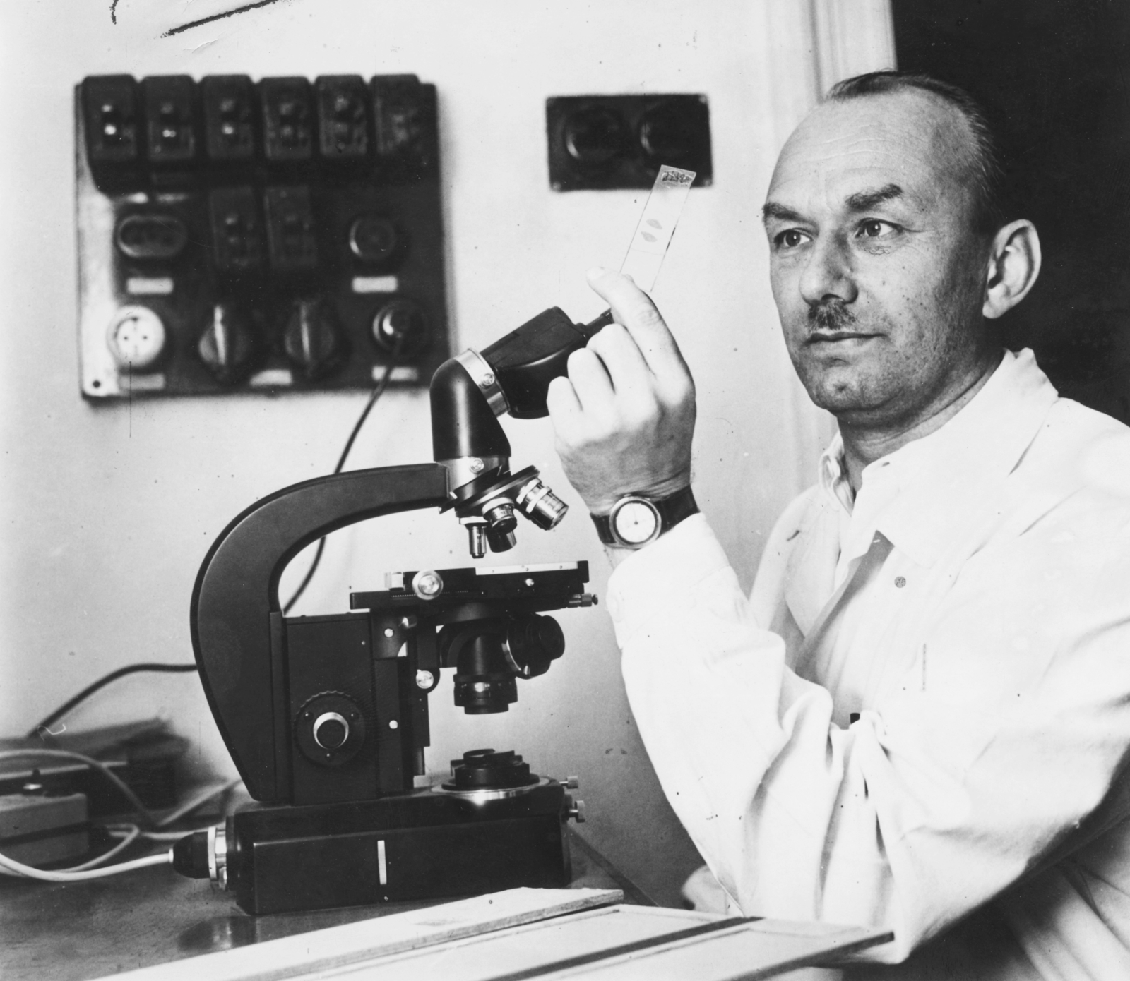 1970, Semmelweis Egyetem Levéltára, microscope, slides, Fortepan #74696