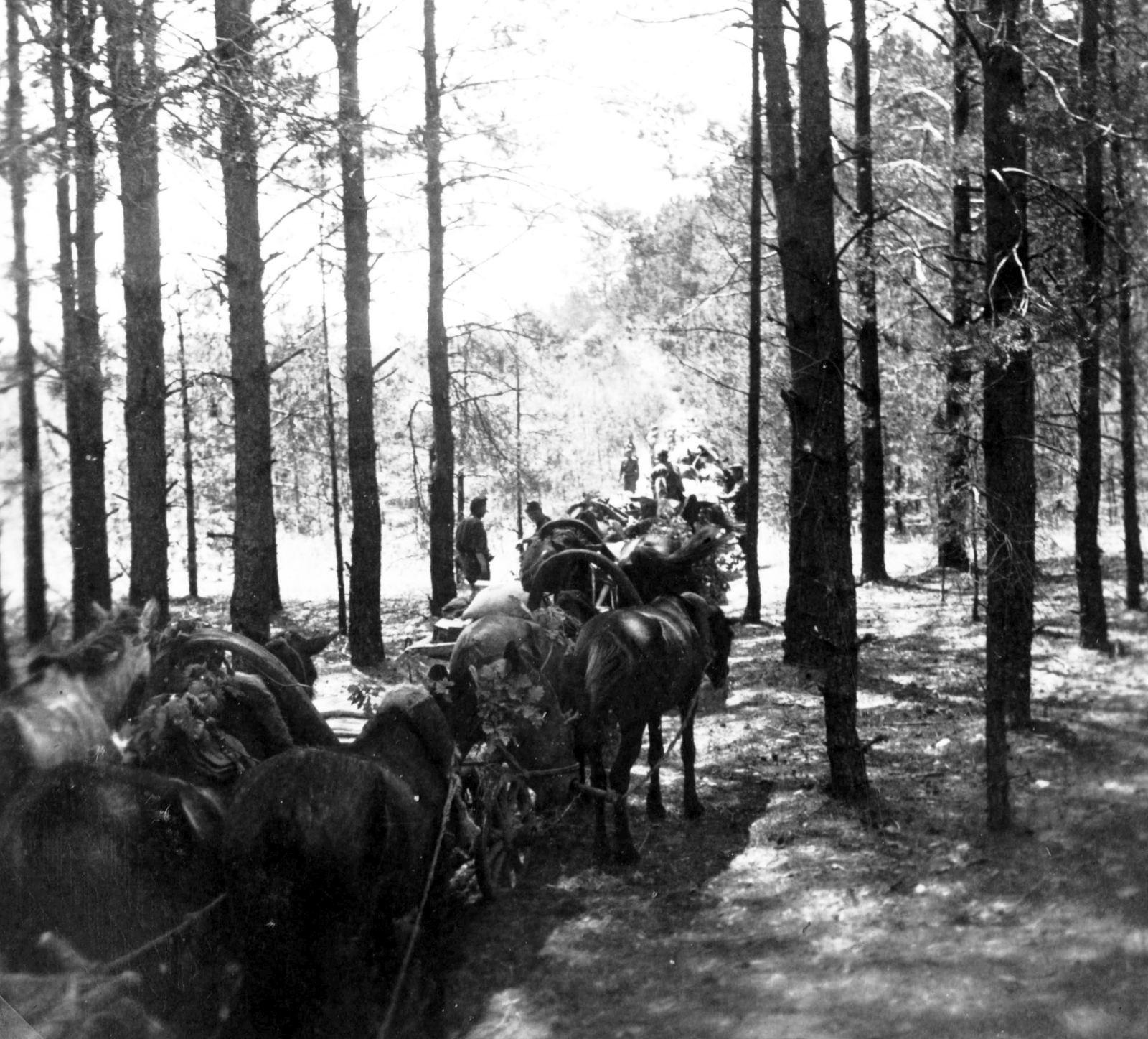 1942, Teller Ferenc, Gergelyi Béla, second World War, coach, Fortepan #75418