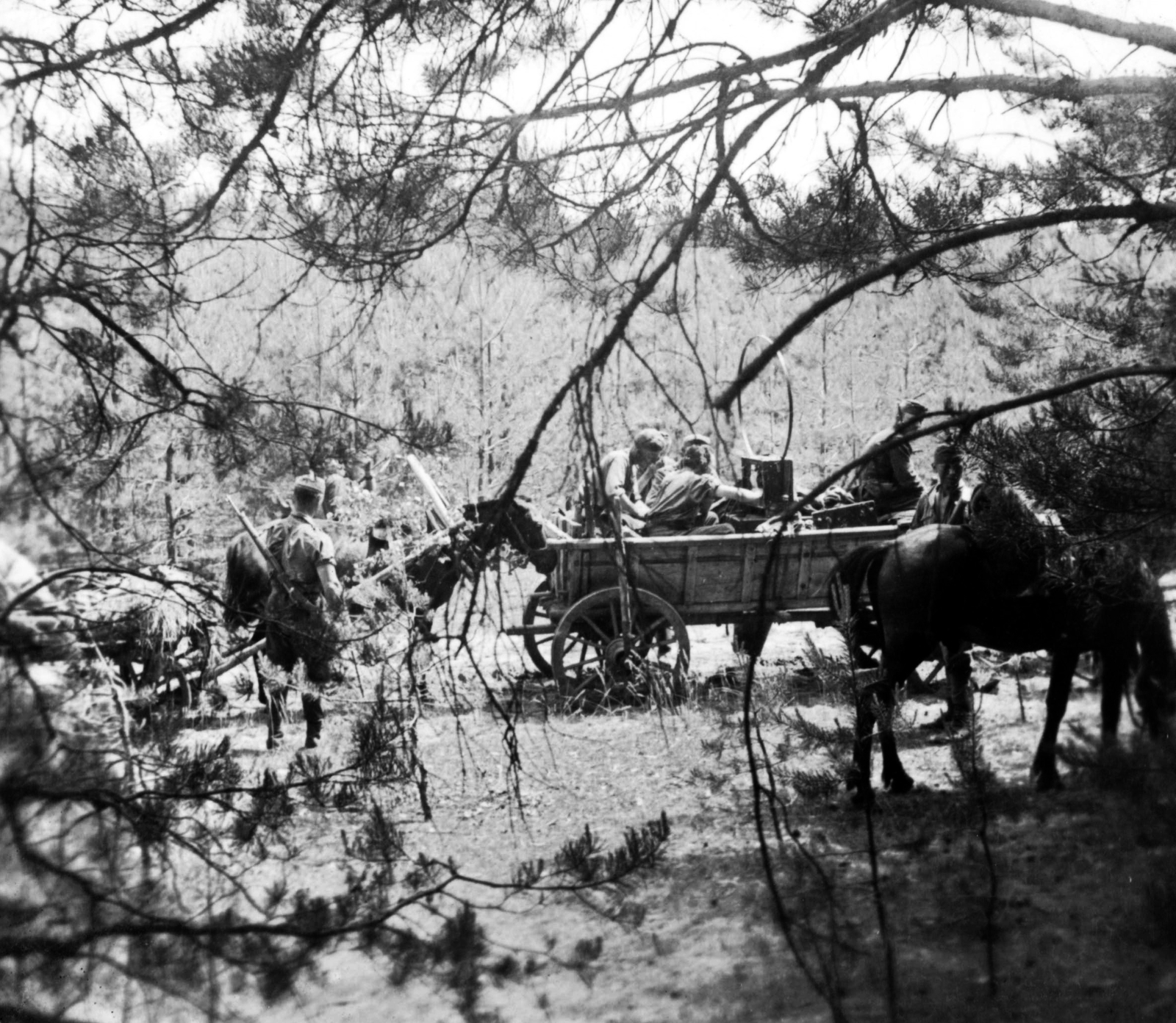 1942, Teller Ferenc, Gergelyi Béla, second World War, coach, soldier, radio operator, Fortepan #75419