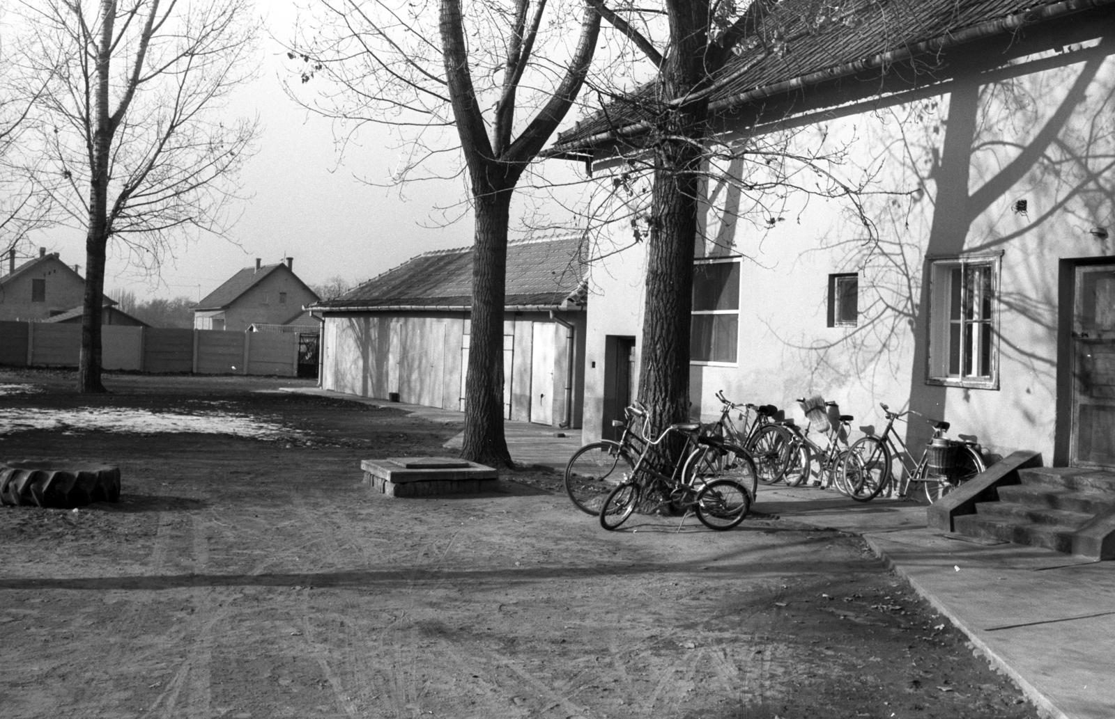 1983, Jankó Attila, bicycle, Fortepan #75754