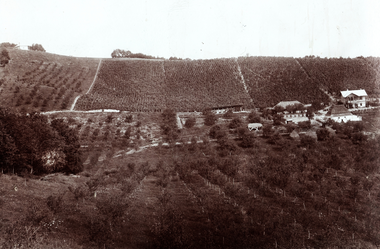 Romania,Transylvania, Giurtelecu Șimleului, présház., 1915, Péchy László, picture, hillside, Fortepan #75854
