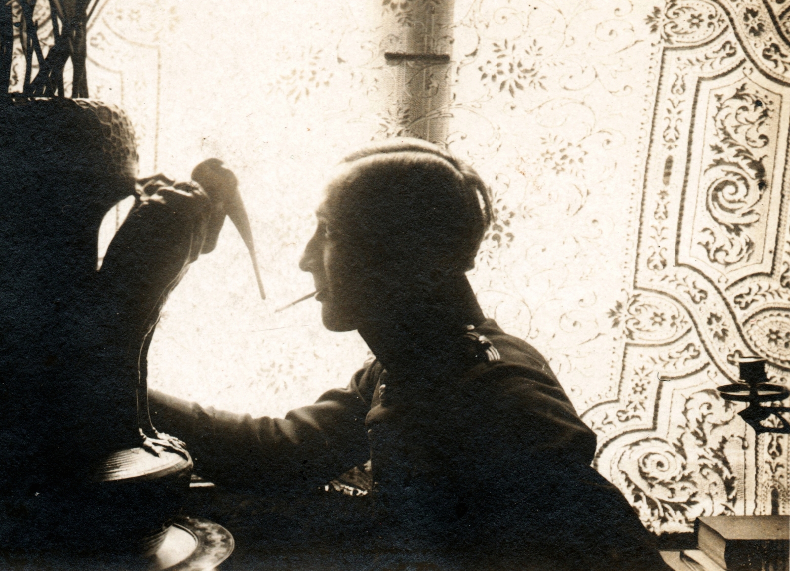 1919, Péchy László, backlight, Fortepan #75883