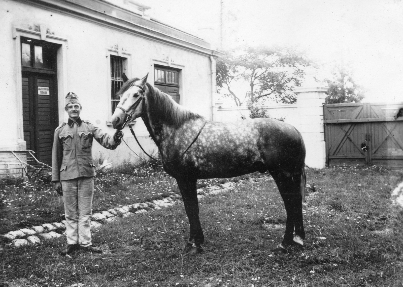 Ausztria, Mödling, Császári és Királyi Katonai Műszaki Főiskola (később HTL Mödling néven főiskola)., 1915, Péchy László, első világháború, ló, kadét, katonai akadémia, Fortepan #75931