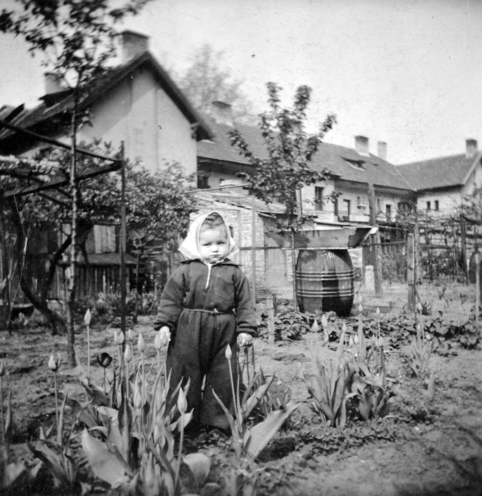 1952, Fortepan, garden, kid, Fortepan #7594
