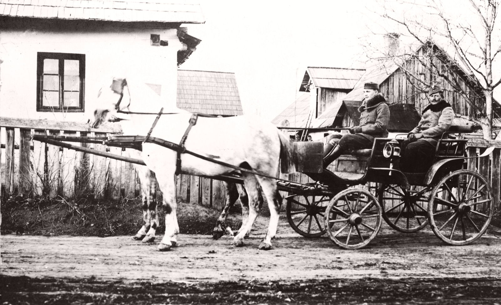 Ukraine, Hlyboka, 1918, Péchy László, First World War, horse, Horse-drawn carriage, Fortepan #76027