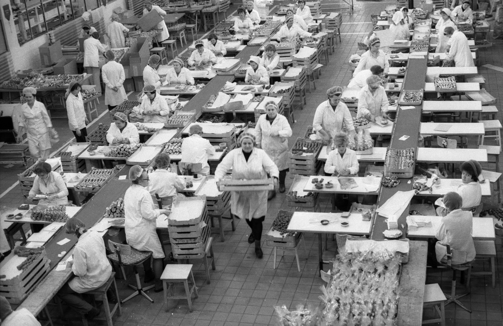 Hungary, Diósgyőr, Miskolc, Magyar Édesipar Szerencsi Csokoládégyár diósgyőri üzeme., 1981, Erdei Katalin, working woman, Fortepan #76108