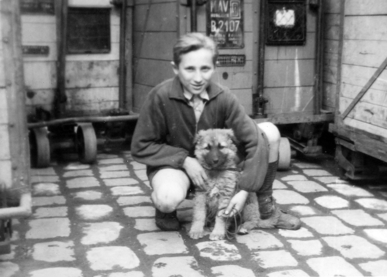 A háttérben MÁV kiskonténerek., 1949, Fortepan, Hungarian Railways, railway, dog, kid, container, German shepherd, puppy, Fortepan #7611