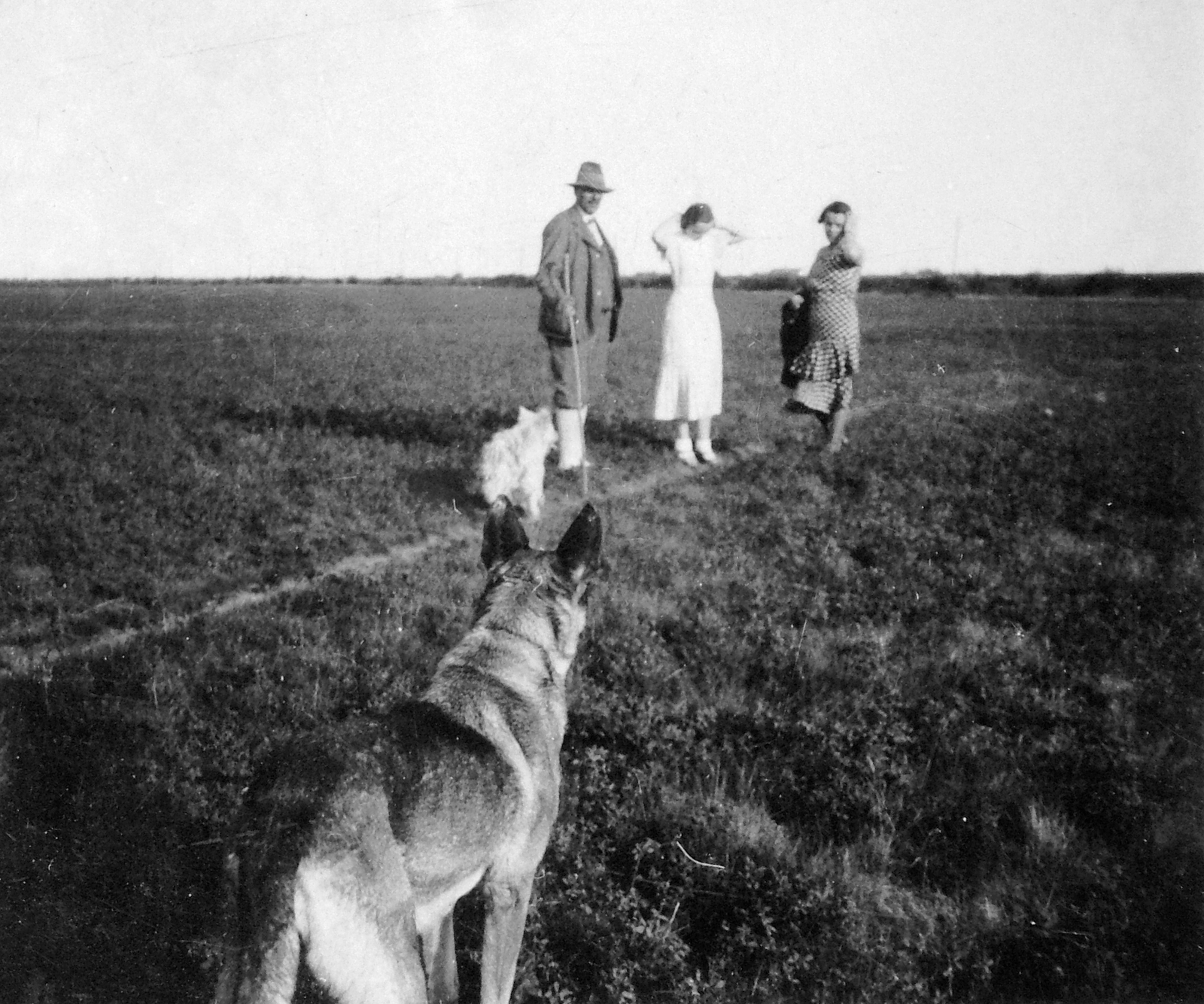 1934, Fortepan, dog, German shepherd, Fortepan #7619