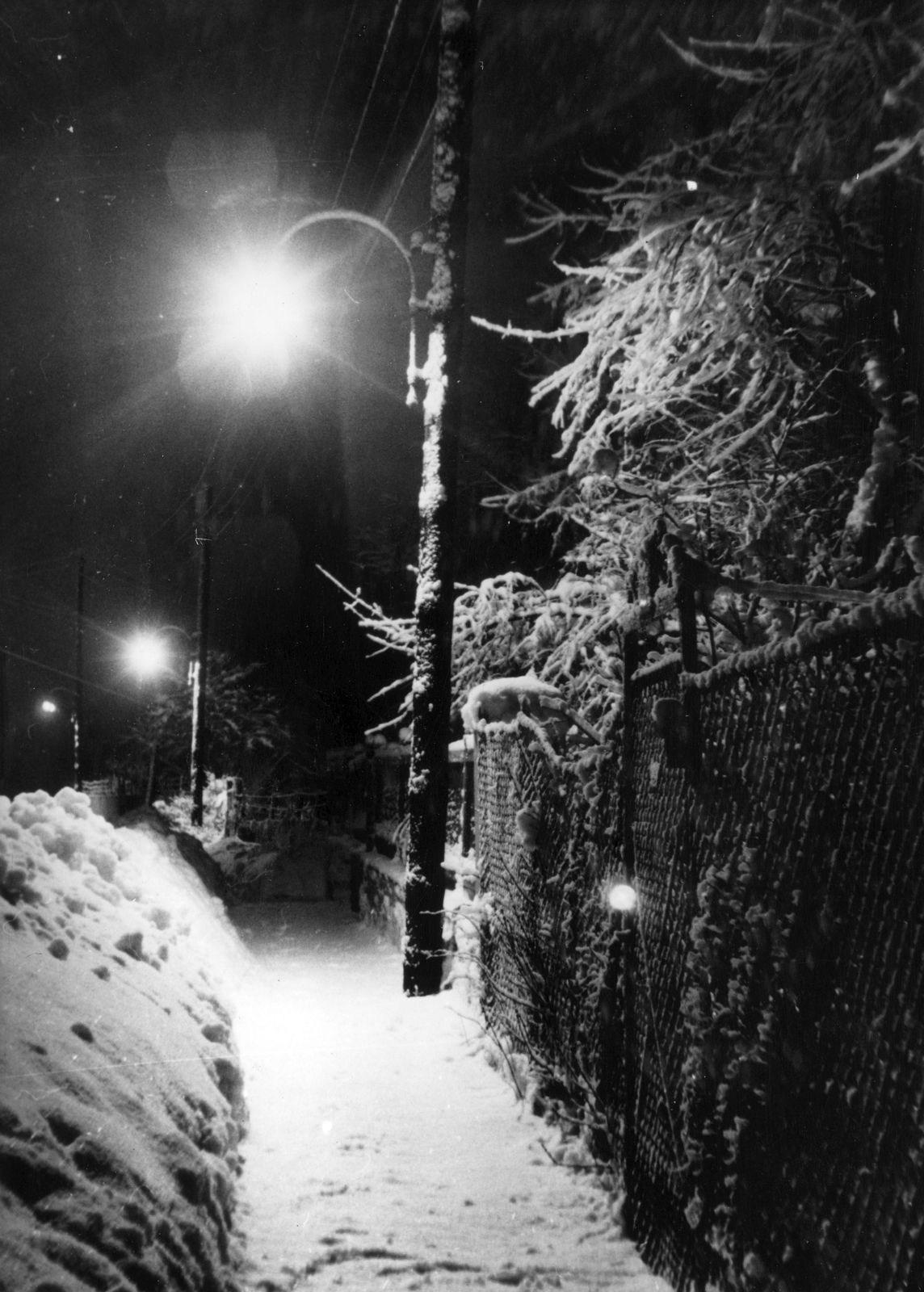1949, Vojnich Pál, chain-link fence, pavement, street lamp, night, snow, winter, Fortepan #76350