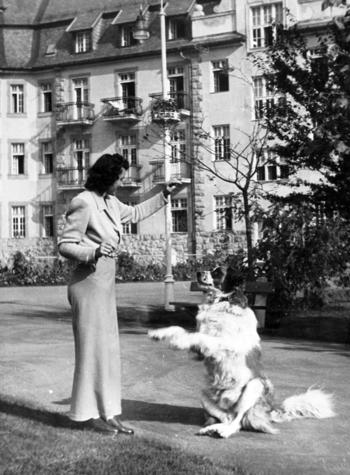 Hungary, Lillafüred, Miskolc, Palotaszálló a park felől., 1949, Vojnich Pál, dog, hotel, Renaissance Revival, lady, Kálmán Lux-design, Saint Bernard dog, Fortepan #76351