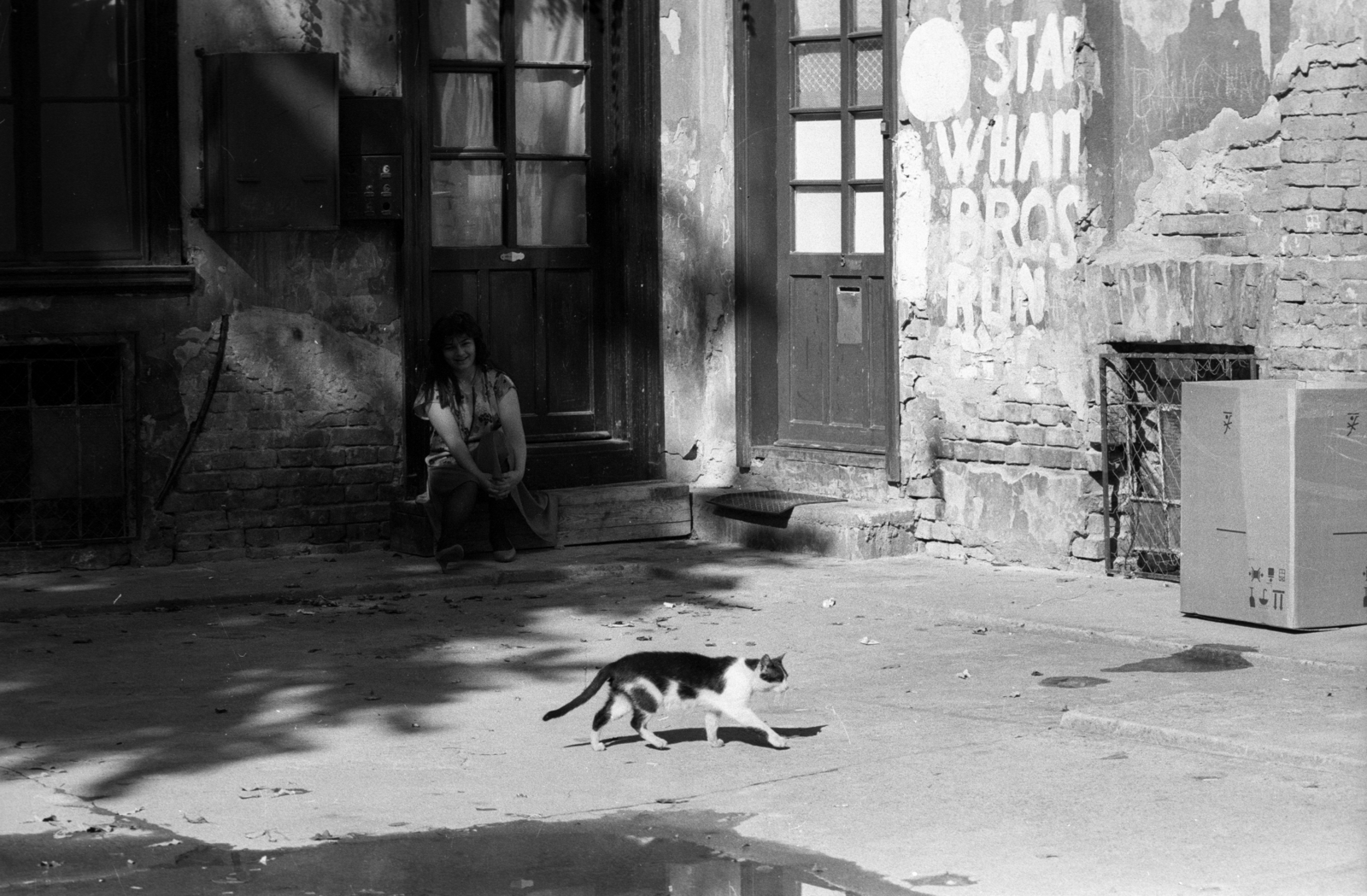 1990, Erdei Katalin, szegénység, macska, graffiti, belső udvar, nyomor, Fortepan #76428