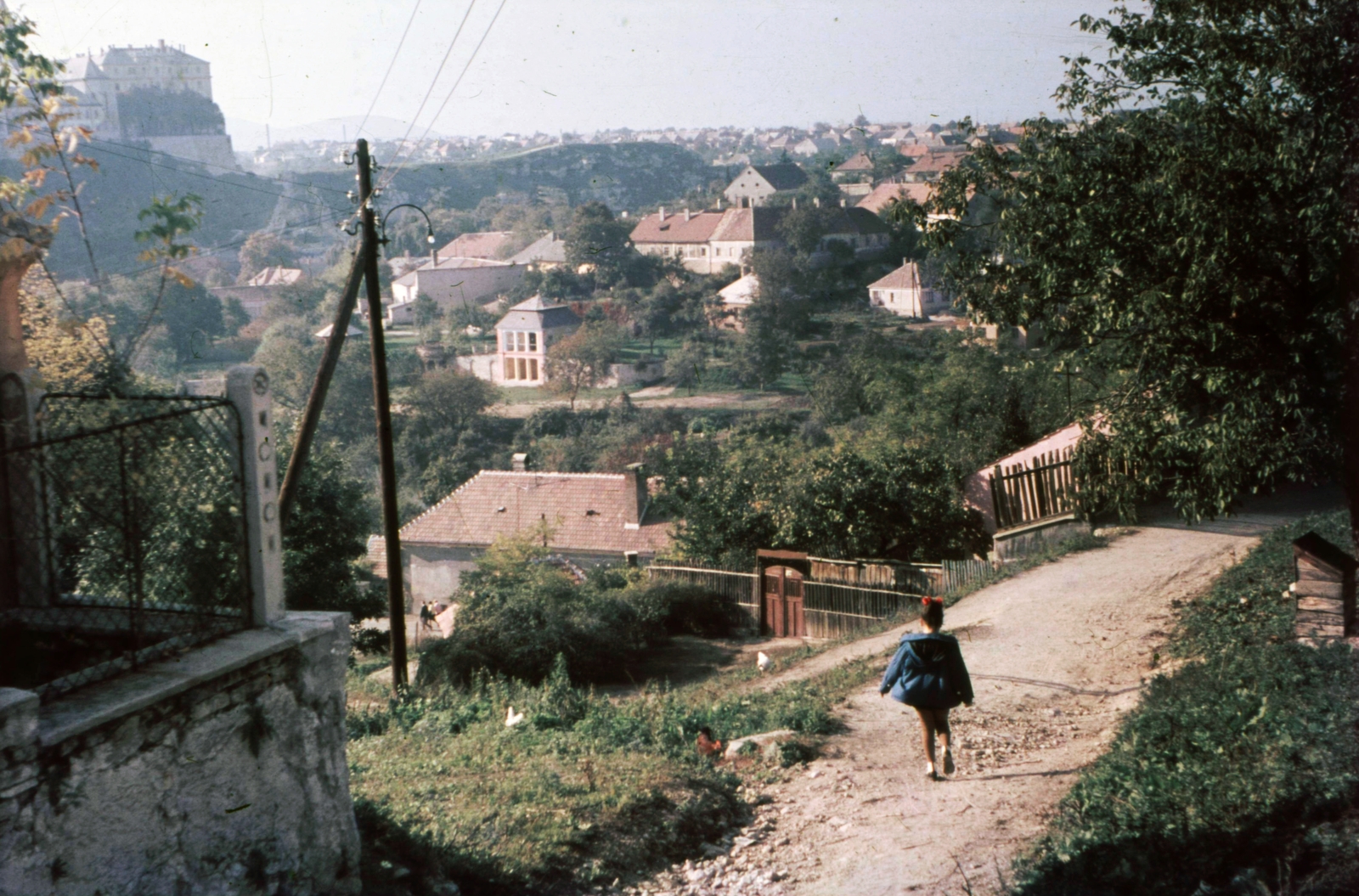 Hungary, Veszprém, Csutorás utca a Buhim-völgy felé nézve., 1966, Herth Viktória dr, Bodó Emma, colorful, street view, pylon, Fortepan #76511