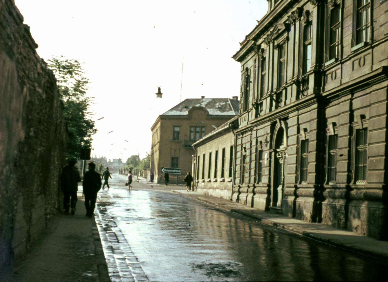 Hungary, Veszprém, Brusznyai Árpád utca (Bajcsy-Zsilinszky út) az Almádi út felé nézve., 1968, Herth Viktória dr, Bodó Emma, colorful, street view, Fortepan #76555