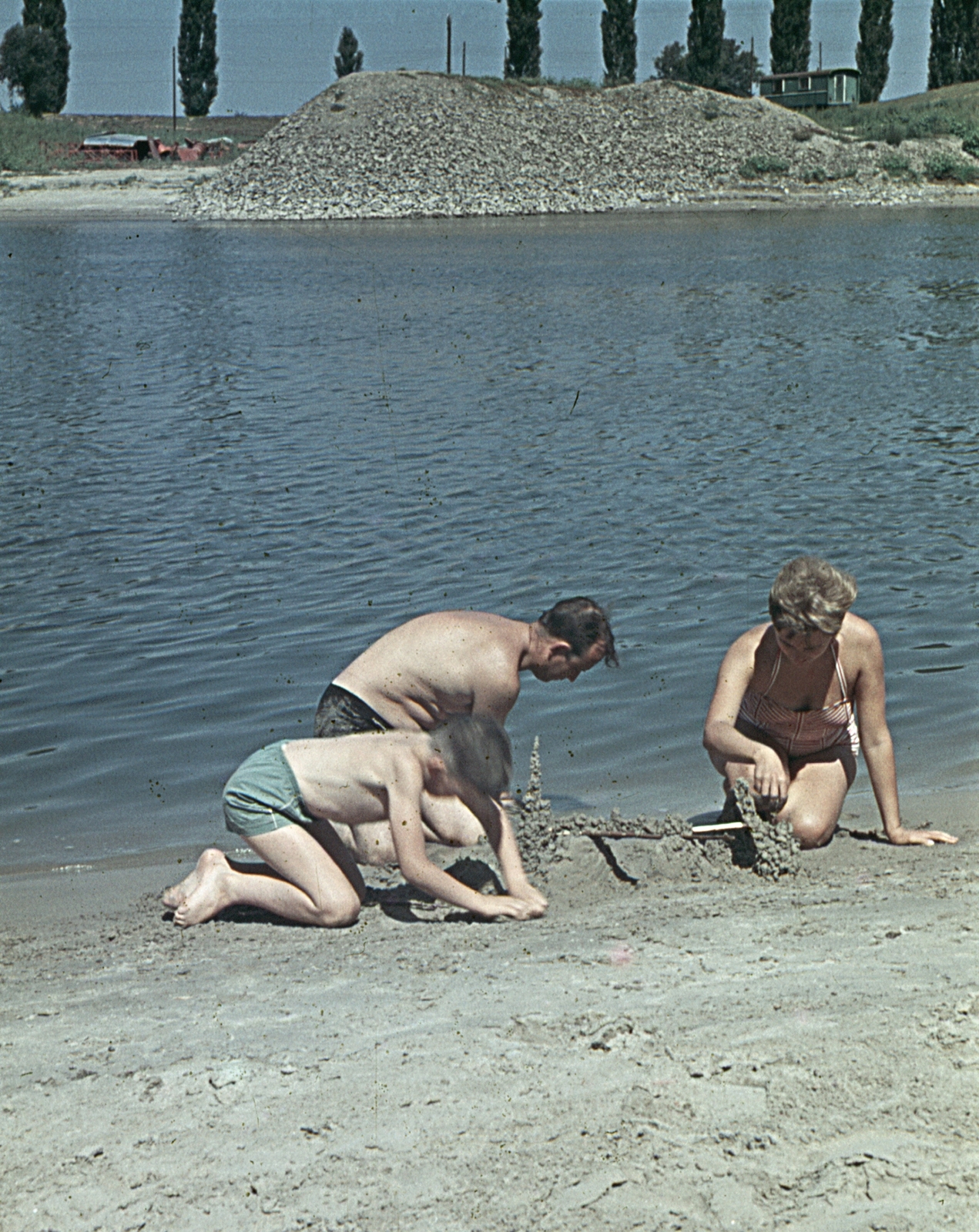 Hungary, Baja, Petőfi-sziget, a Sugovica (Kamarás-Duna) túlpartján a Bajcsy-Zsilinszky utca jegenyefasora látszik., 1966, Erky-Nagy Tibor, colorful, Fortepan #76725