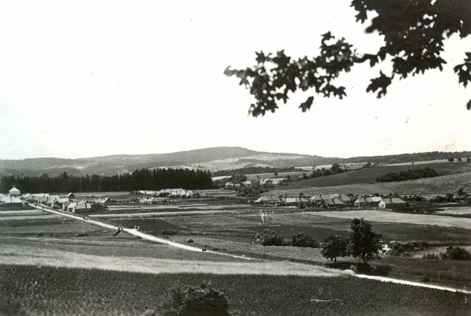 1937, Klenner Aladár, village, bridge, landscape, agriculture, hillside, road, Fortepan #76794