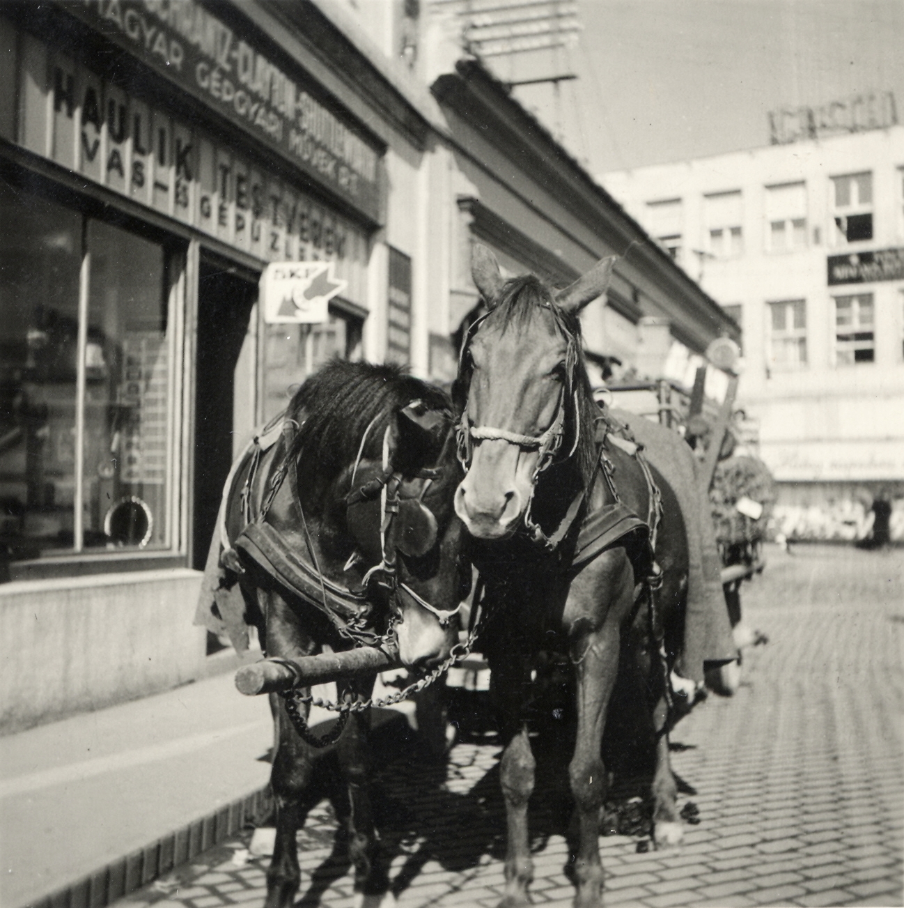 Slovakia, Nové Zámky, Milan Rastislav Štefánik (ekkor Széchenyi) utca a Fő tér felől a Törökszalasztó utca (Turecká ulica) felé nézve., 1941, Klenner Aladár, horse, Fortepan #76907