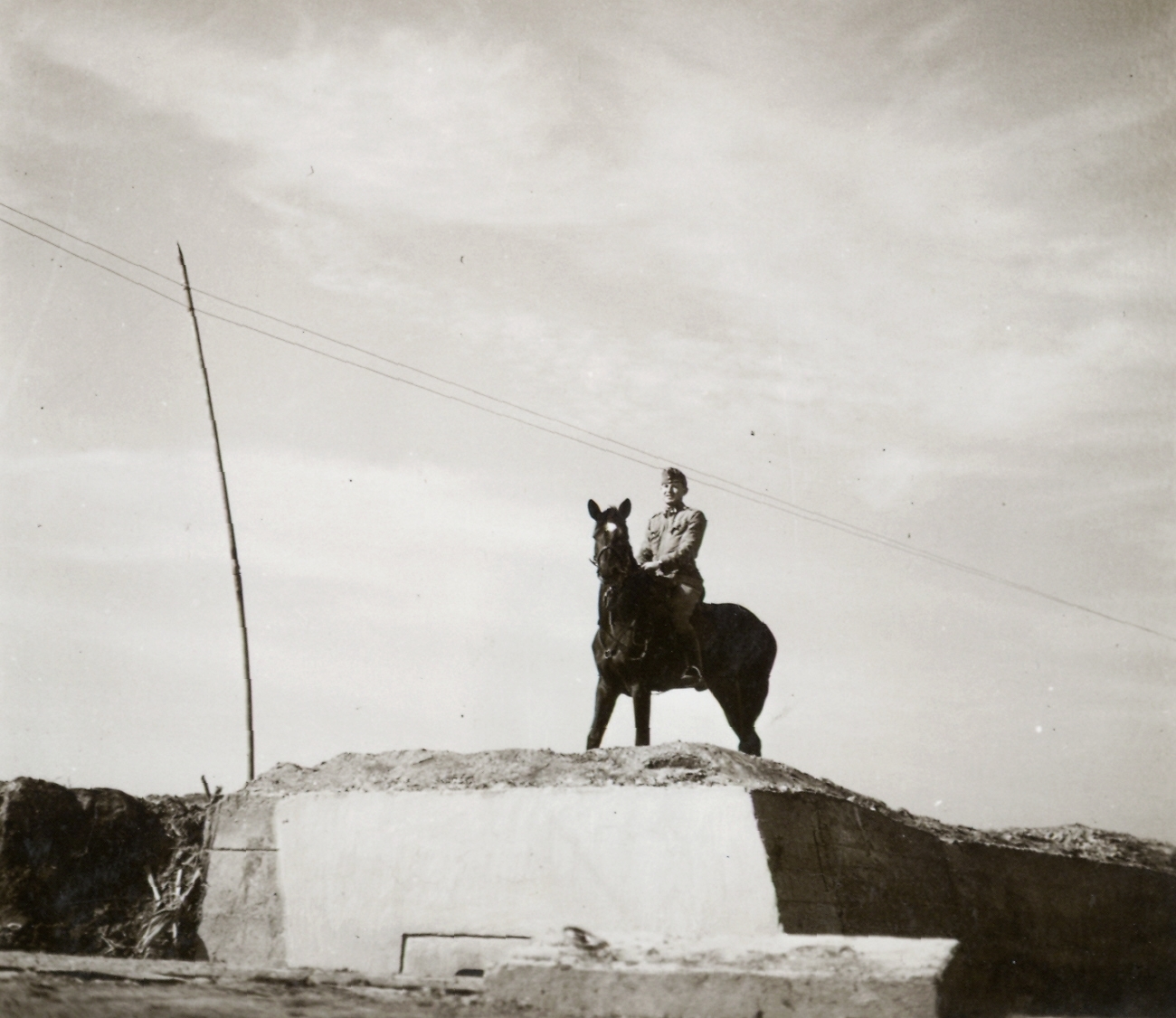 1941, Klenner Aladár, horse, Fortepan #77008